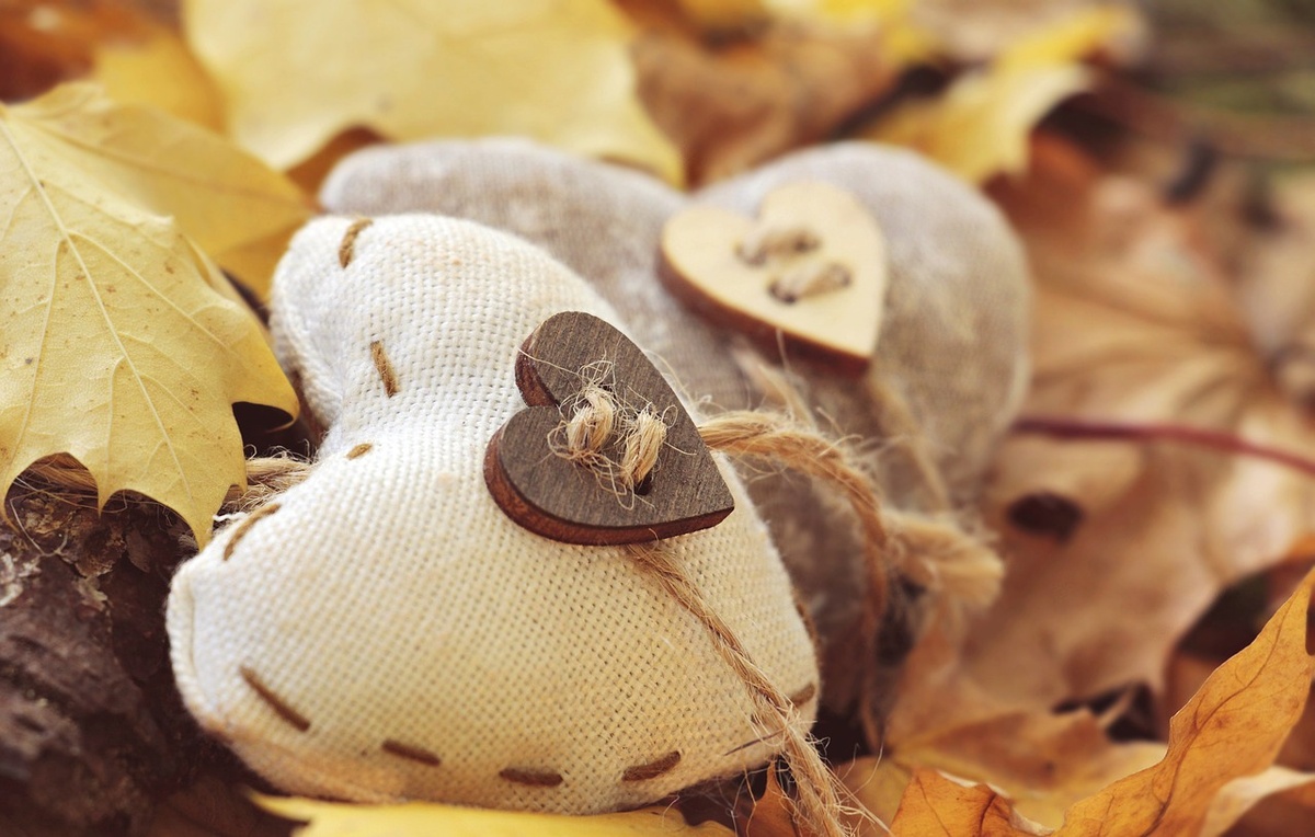 https://pixabay.com/photos/heart-autumn-leaves-true-leaves-3063045/