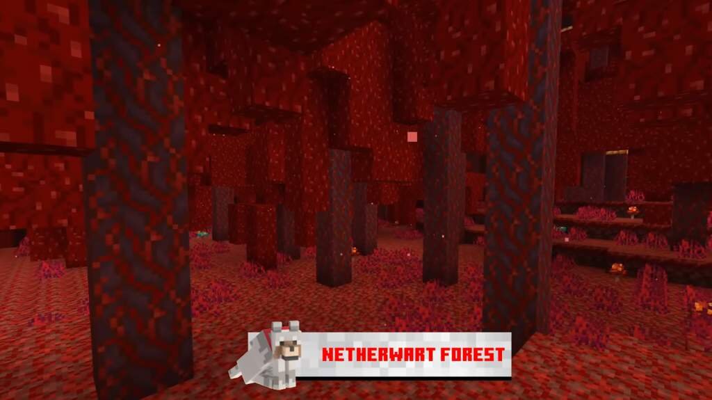 нарост нижнего мира. адский нарост в майнкрафт 1. адский нарост в майнкрафте. Nether wart майнкрафт. как выращивать незер нарост.
