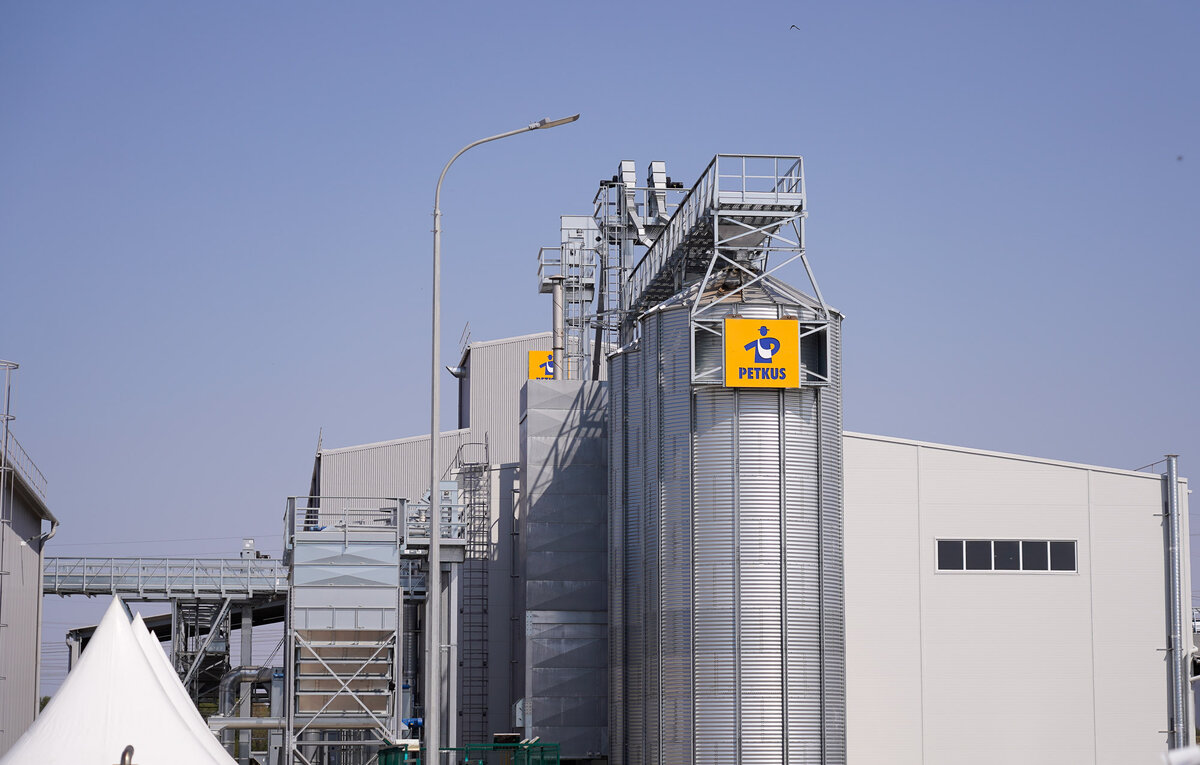 Источник картинки времяроссии.рф