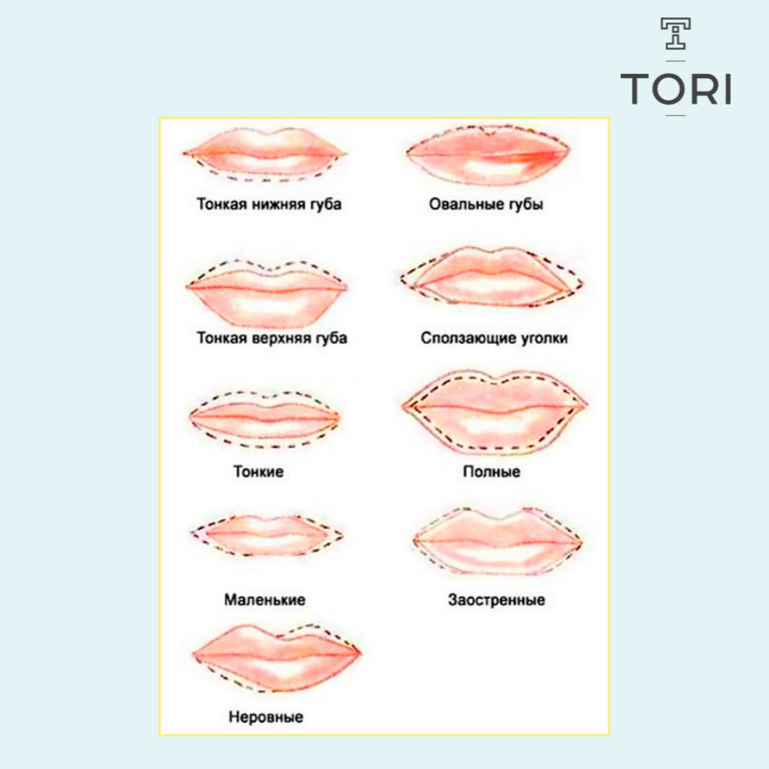 Губы мужчины характеристика. Корректировка формы губ. Формы губ названия. Коррекция формы губ схема. Форма ГУП.