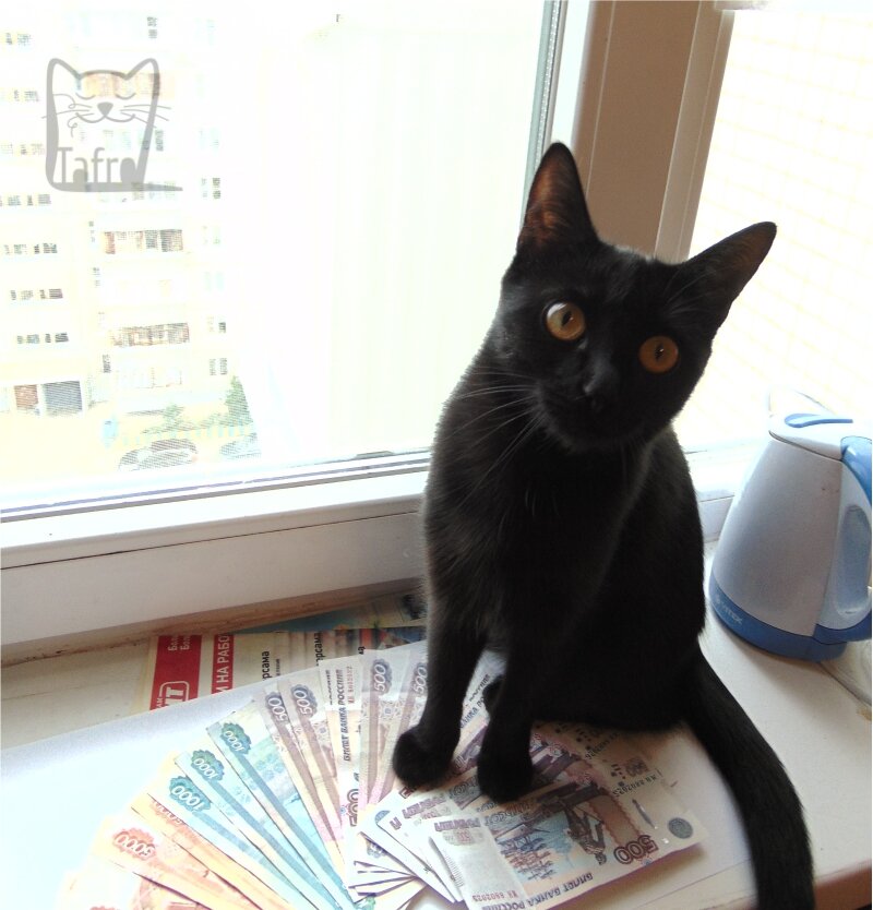 Мой чёрный талисман )