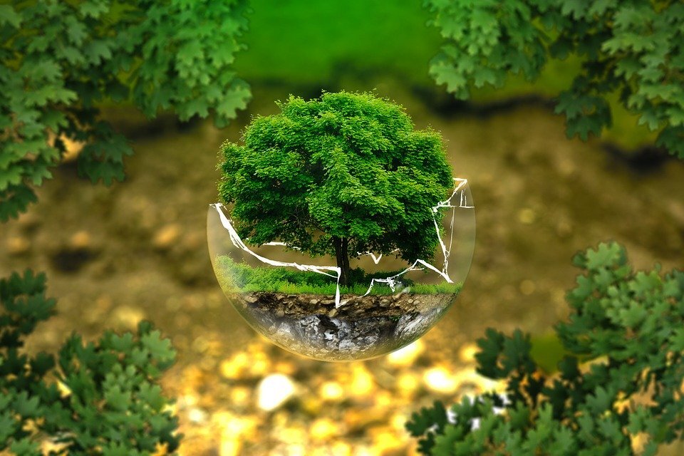 Источник: https://cdn.pixabay.com/photo/2014/04/17/23/26/environmental-protection-326923_960_720.jpg1