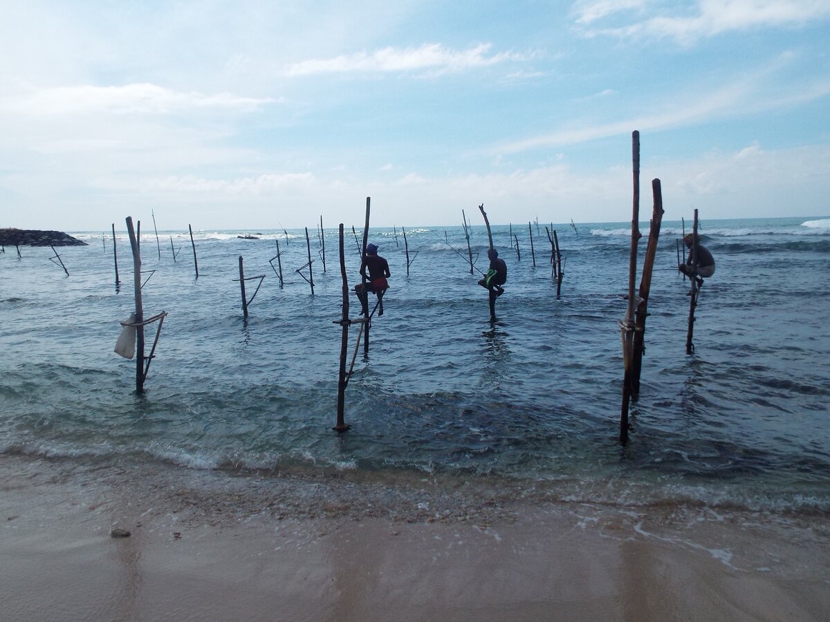 Ловля рыбы на шестах