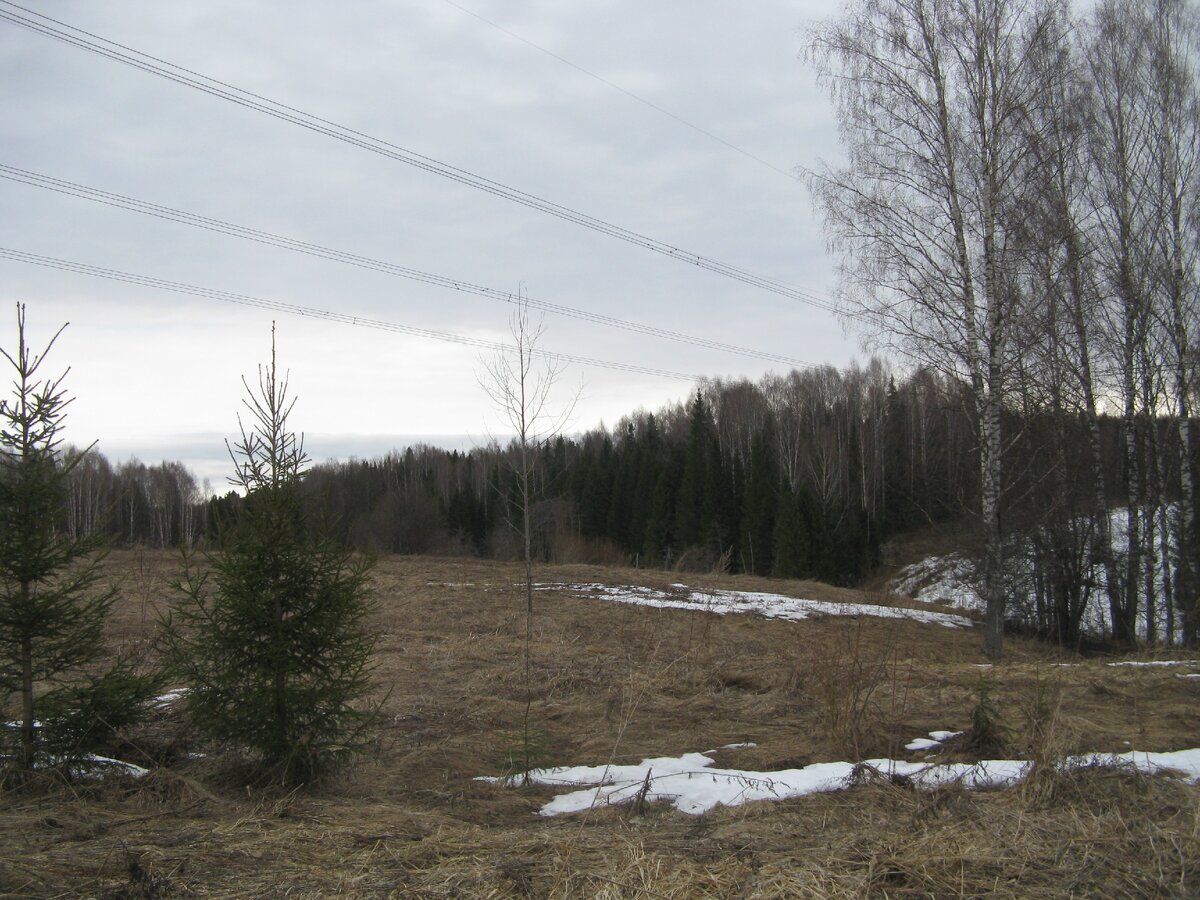 Высоковольтка разделила деревню пополам.
