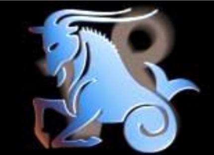 22 декабря - 20 января 