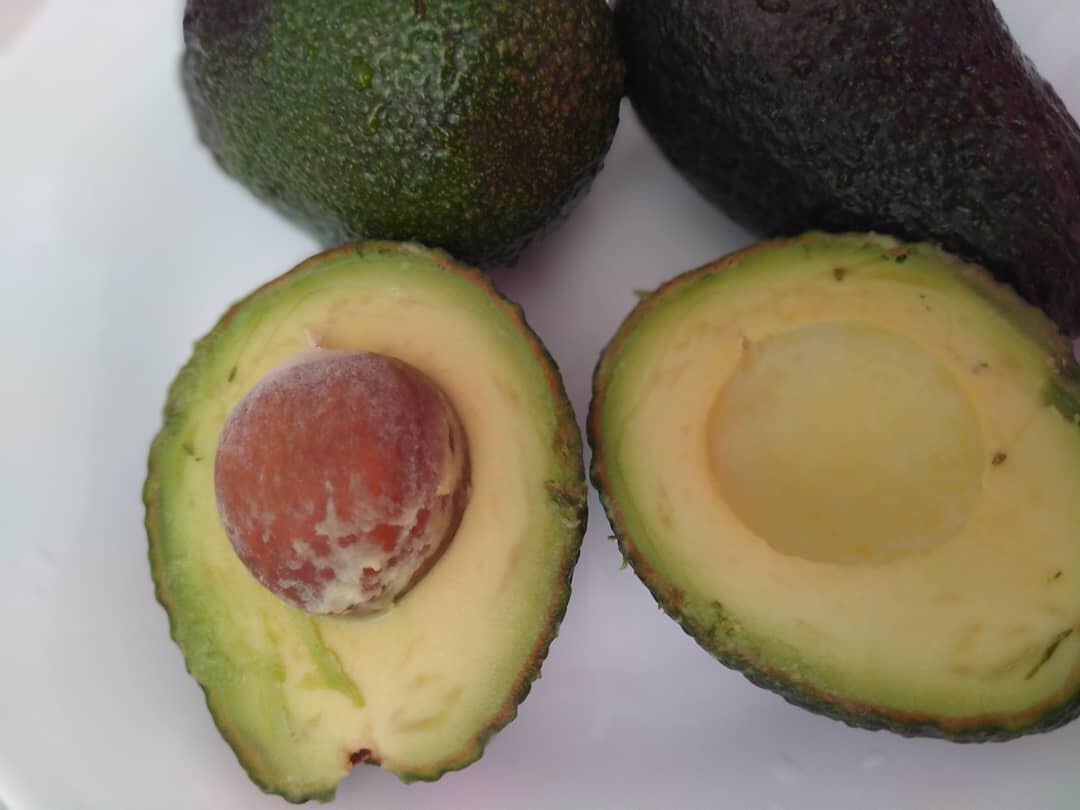 Авокадо