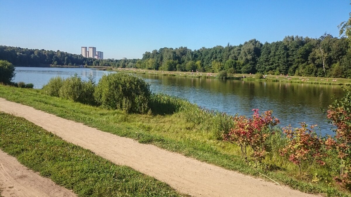 Лебедянский пруд. Фото автора.