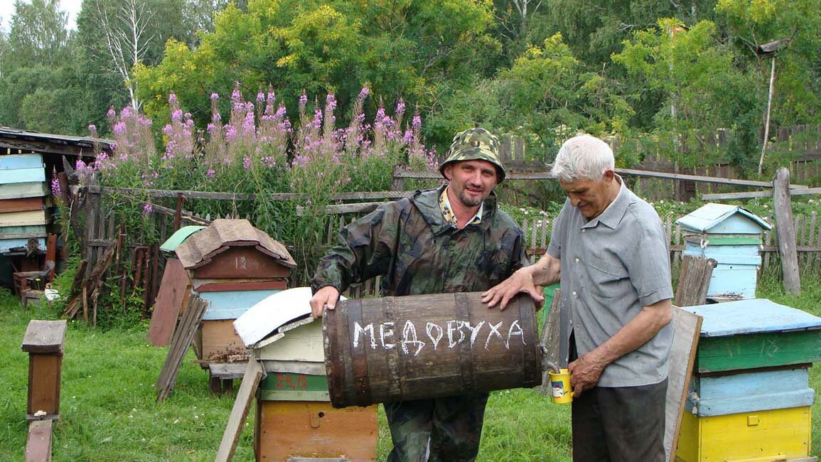 Пчеловод смешные картинки