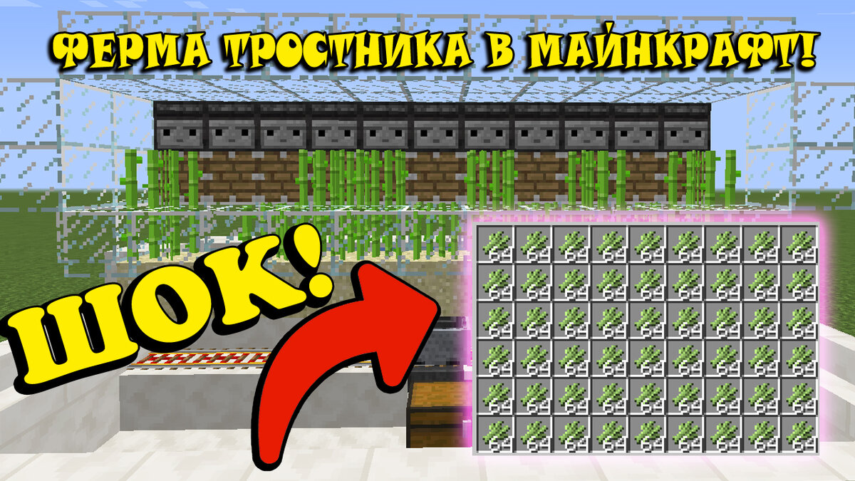 Как построить автоматическую тростниковую ферму в Minecraft