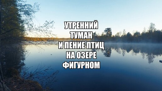 Раннее тихое утро на озере. Пение птиц и плывущий по глади воды туман. Лучше смотреть со звуком и на весь экран.