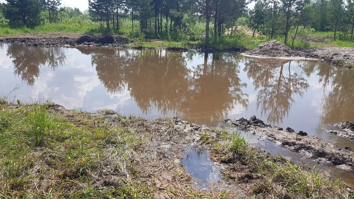 Приобрели участок в Подмосковье. Рассказываю, какой сюрприз нас ждал...