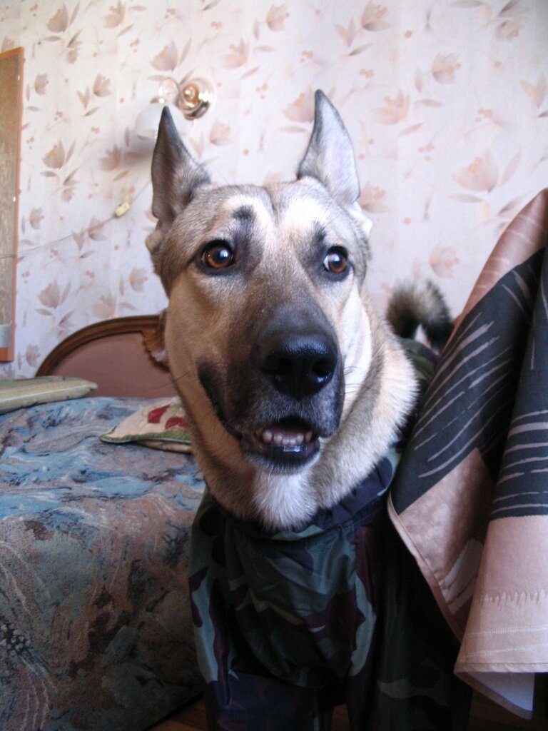 От Лаки всем нашим друзьям привет! 