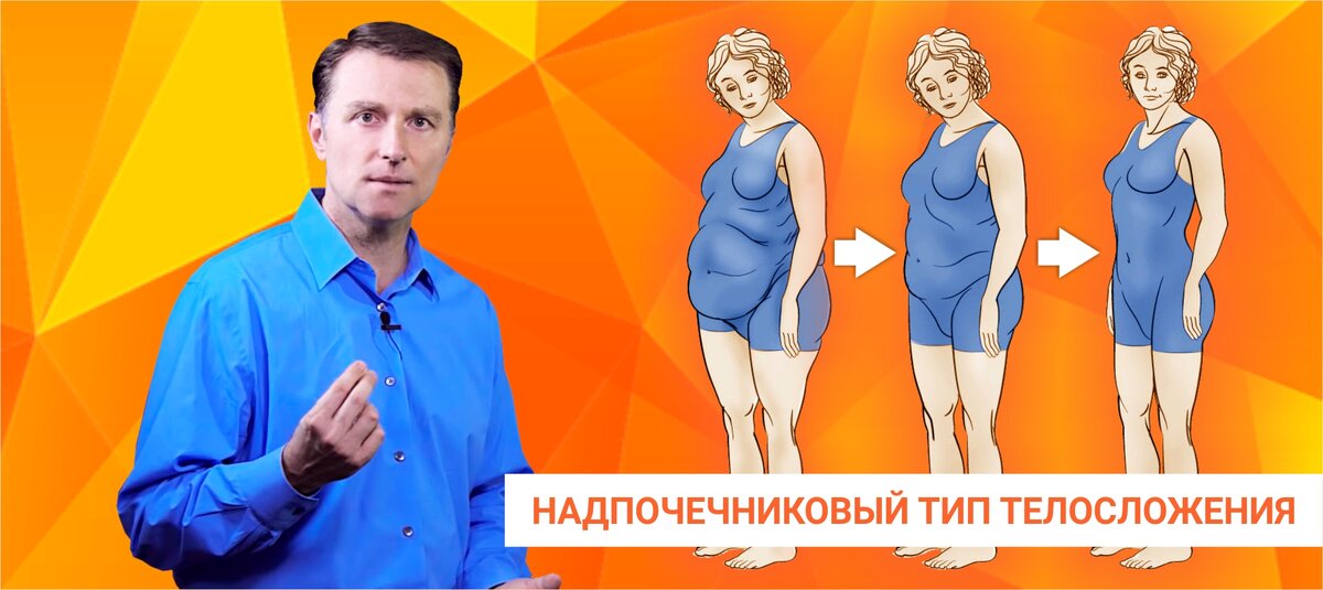 Надпочечниковый тип телосложения: жир скапливается преимущественно на животе