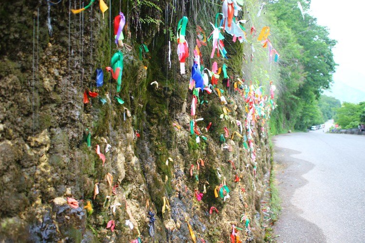 Яндекс картинки