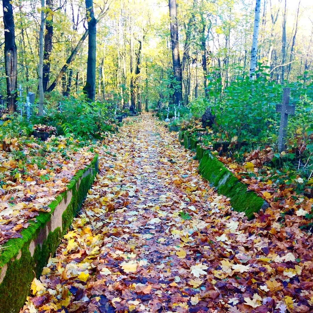 Смоленское кладбище на Васильевском острове. Фото автора