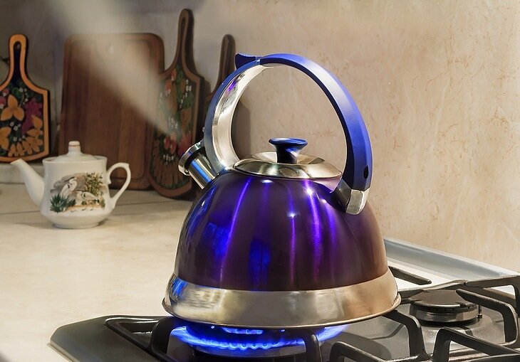 Какой чайник для газовой плиты лучше выбрать: из нержавейки, стеклянный .