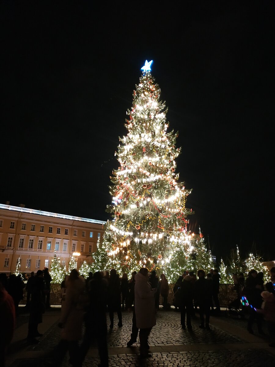 Фото автора. Главная ёлка Санкт-Петербурга.