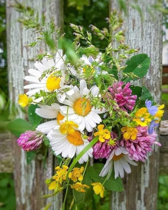 Каждое слово имеет свою температуру...  Не выпускайте в мир холодные слова!