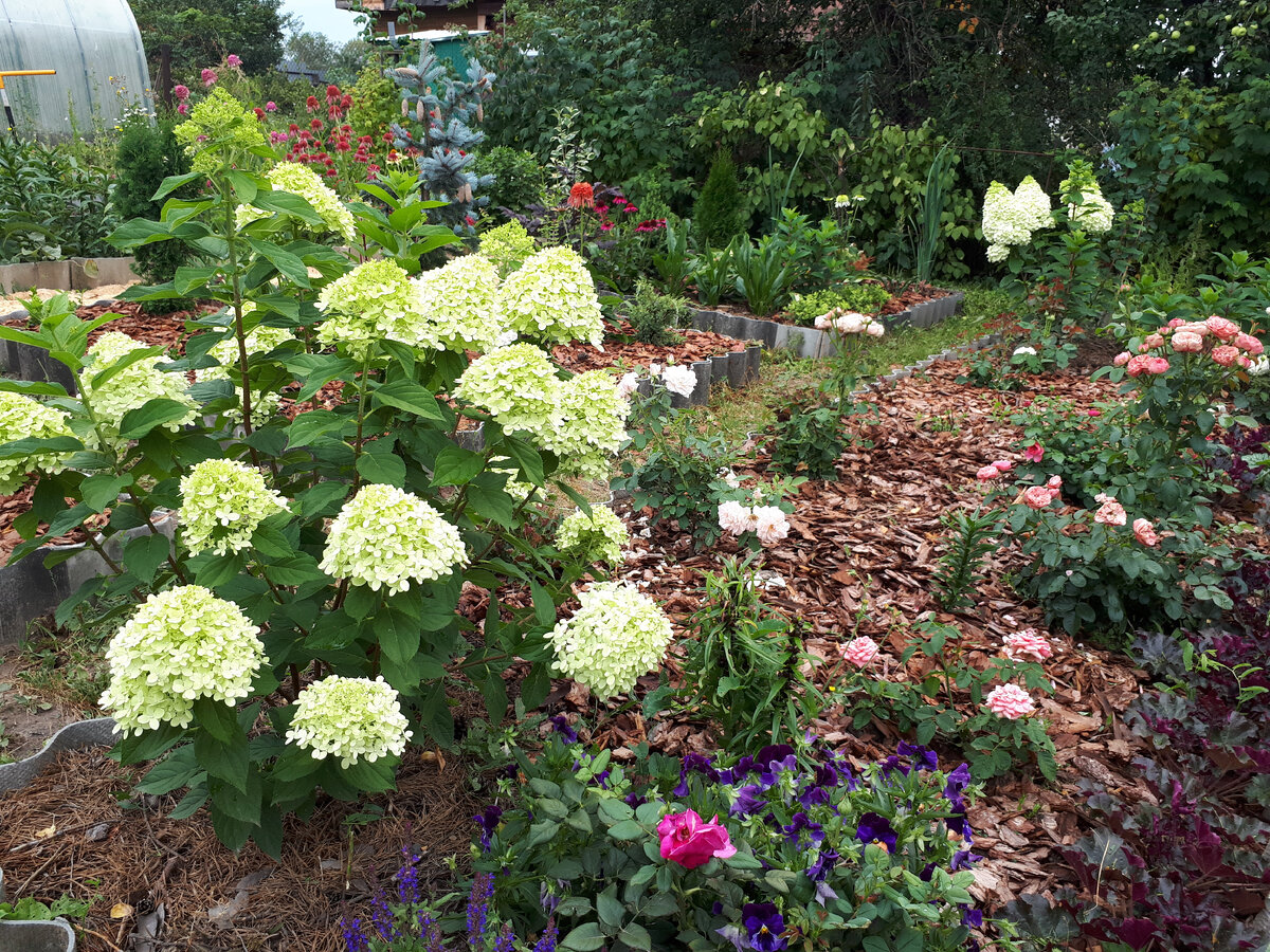 Прошлогодние новинки