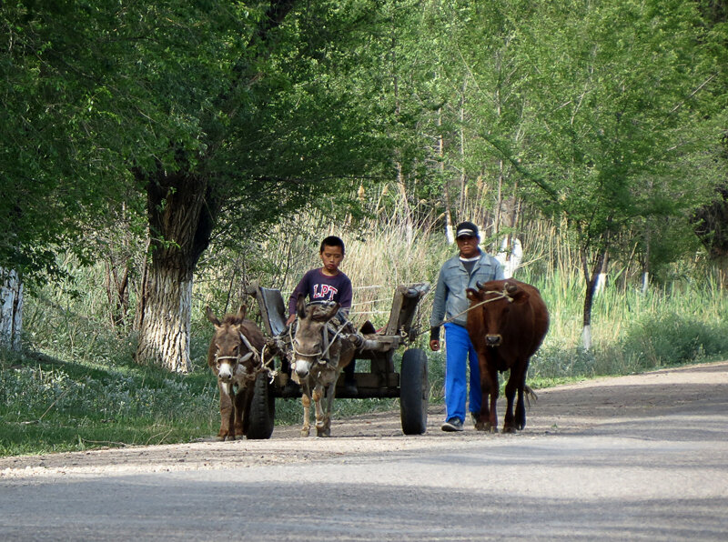 Погода в чундже