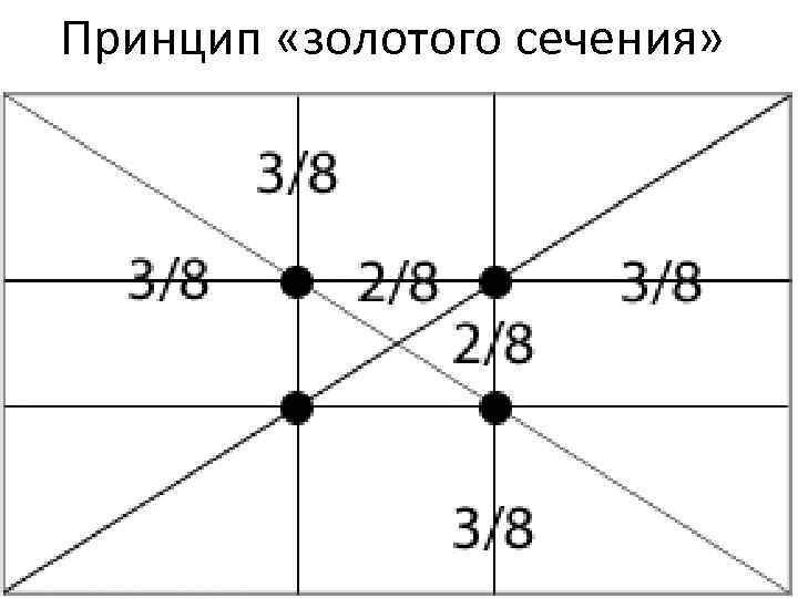 Правило золотого сечения в ландшафтном дизайне