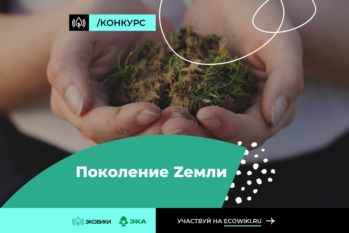 Фото: предоставлено пресс-службой Движения ЭКА