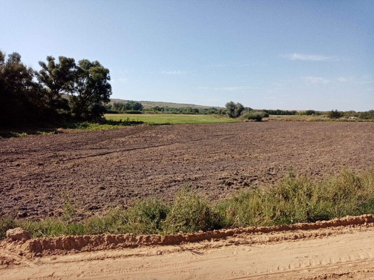 Хутор чиганакский в ростовской области. Хутор в россии. Хутор найди. Хутор чиганакский. Хутор найди.