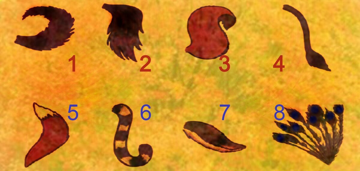 Тест по рисункам.