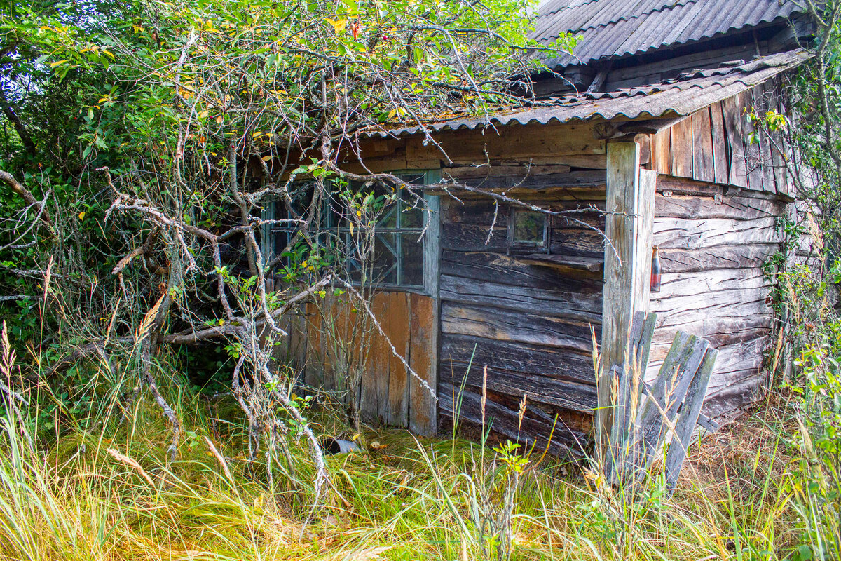 Село Усов, 2021