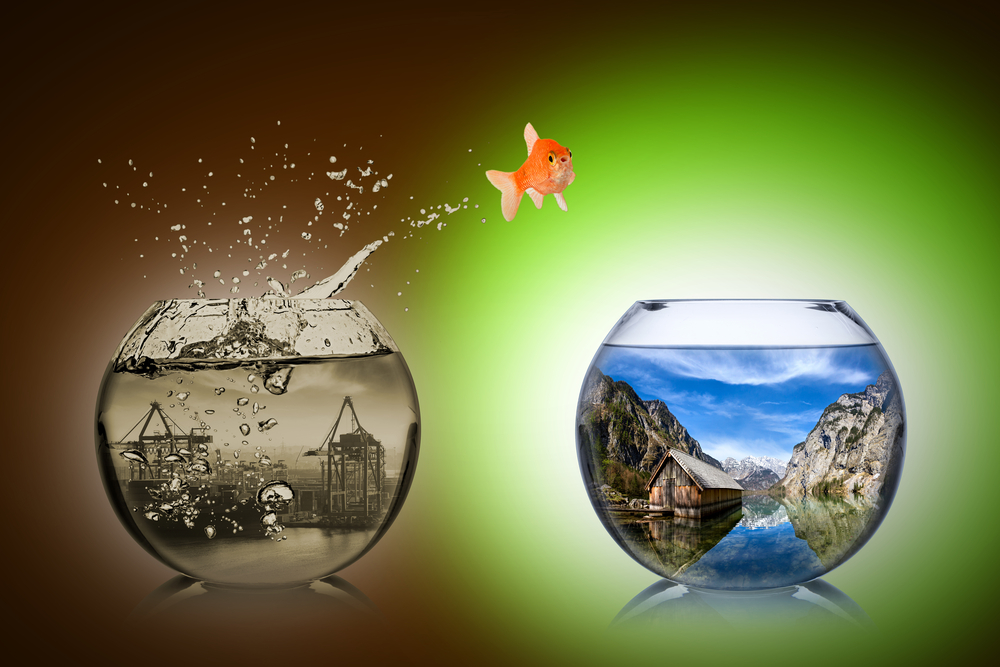 От осинки не родятся апельсинки. Народная мудрость