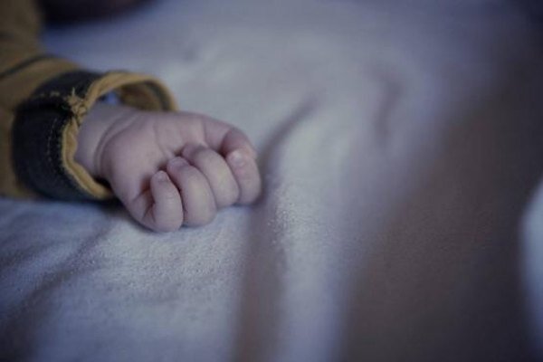 Источник фото: яндекс