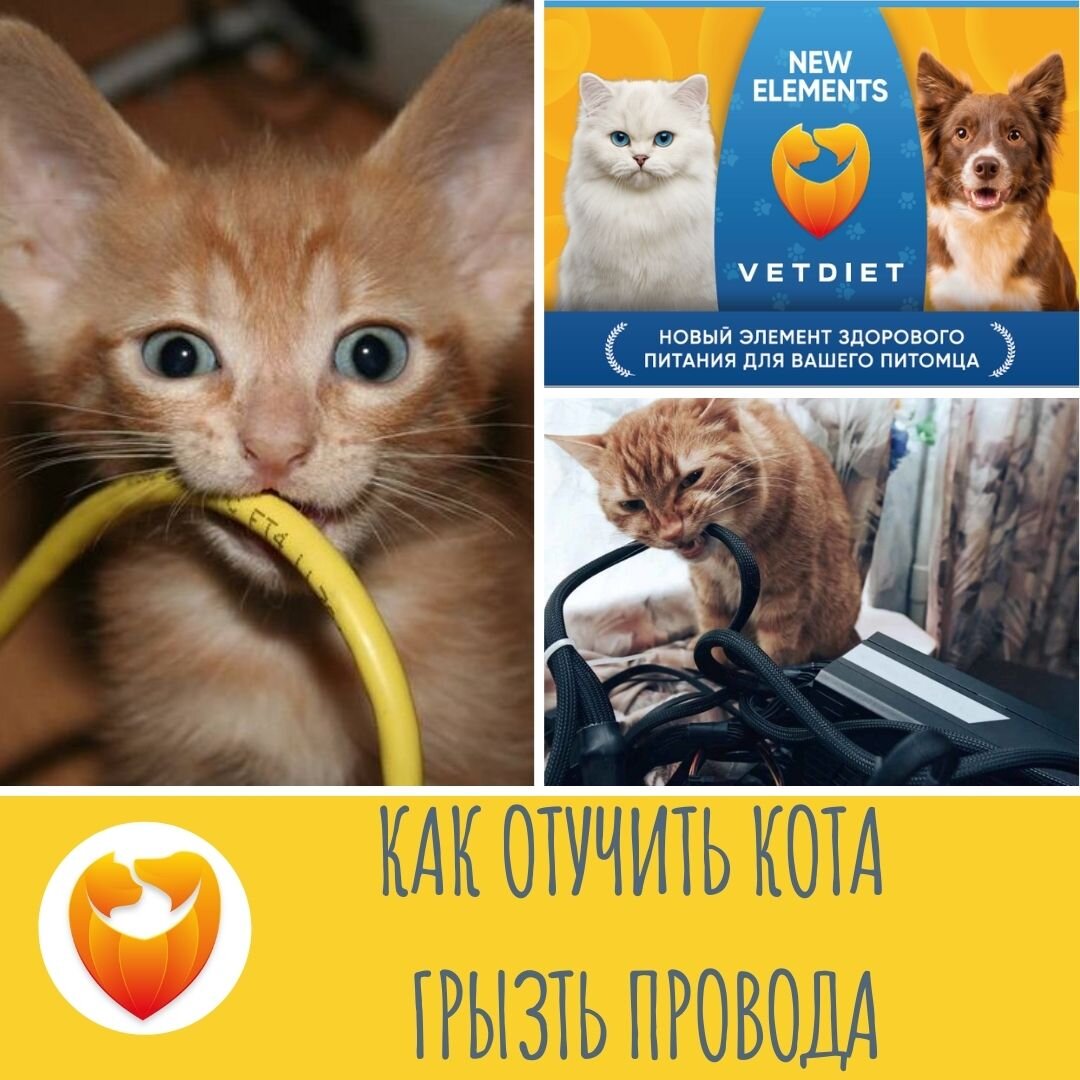 Подпишись на наш канал. Полезная информация ежедневно!