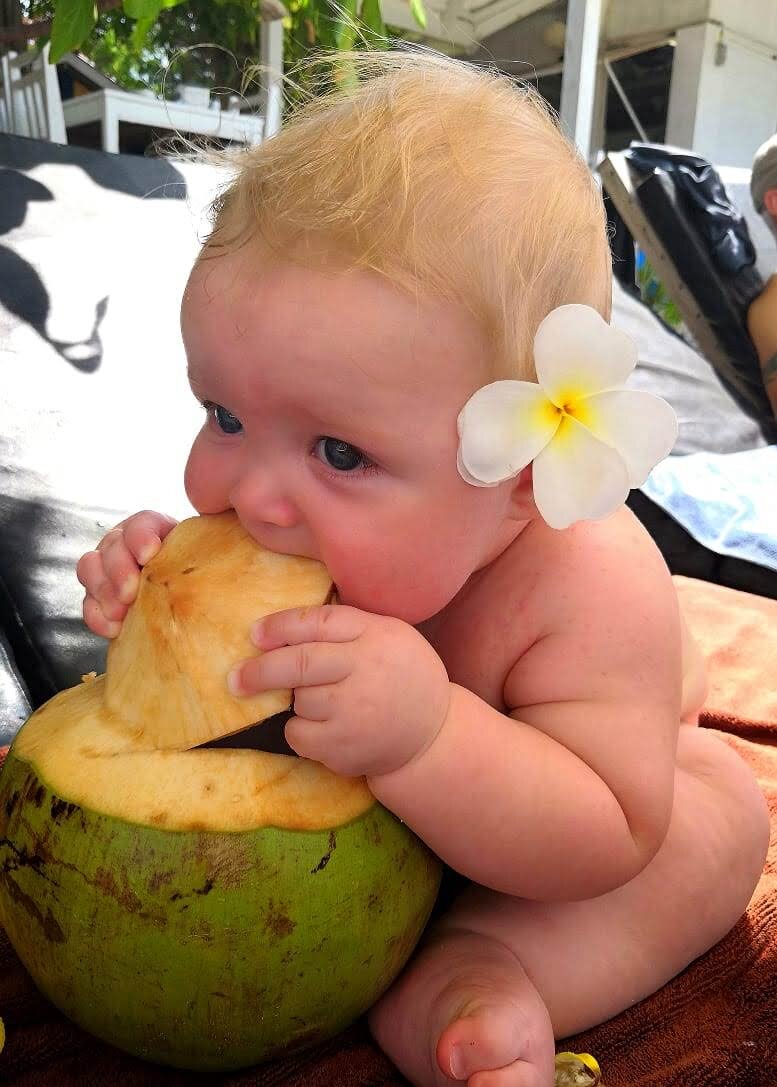 Лев в Таиланде 