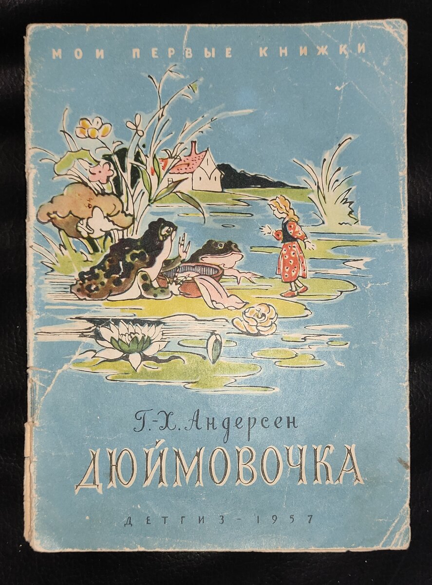 Общий вид книги