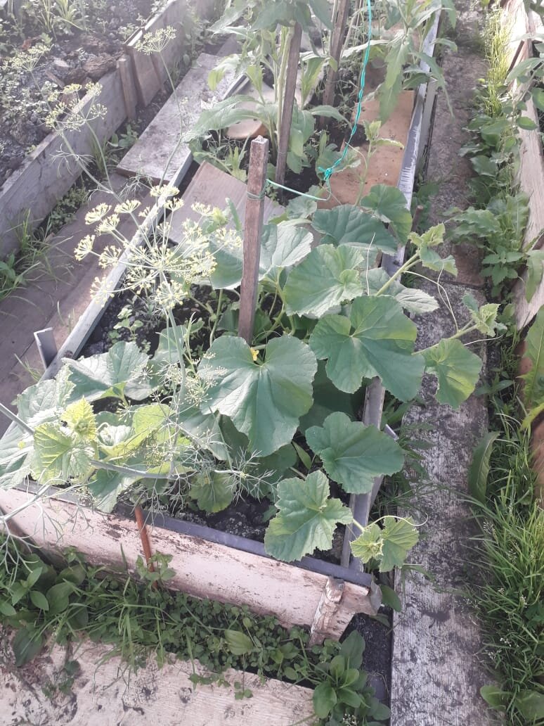 Личное фото 