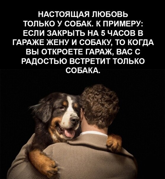https://vse-shutochki.ru/kartinka/338566