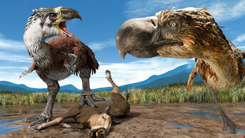 Ужасная птица и другие опасные хищные птицы доисторического мира