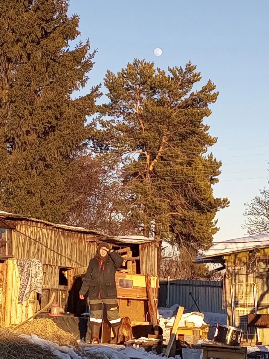 У Илюхи вышел удачный кадр,посмотрите какая выразительная 🌙 луна над сосной на небе 