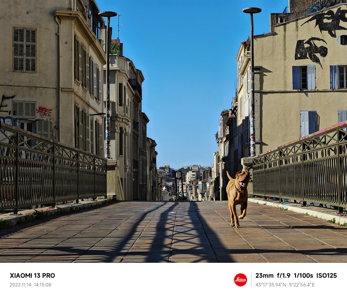 Пример фото на Xiaomi 13 Pro