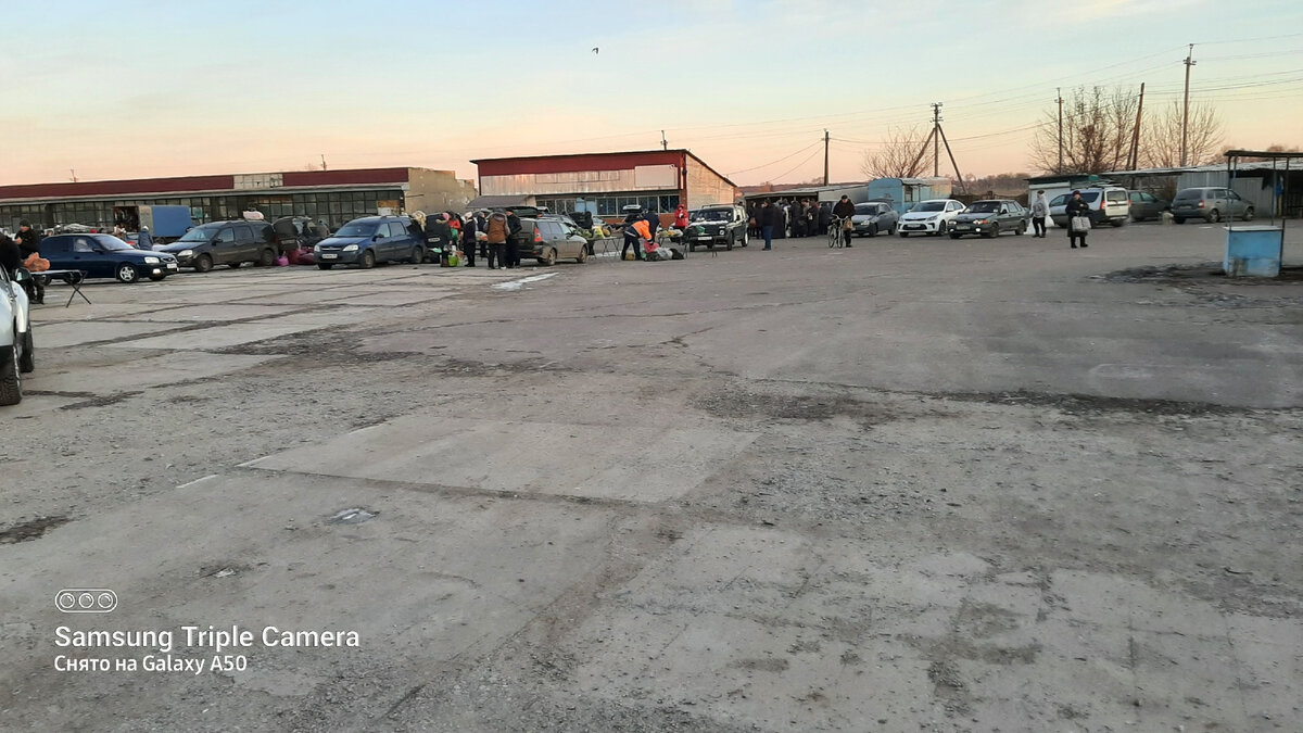 рынок утром