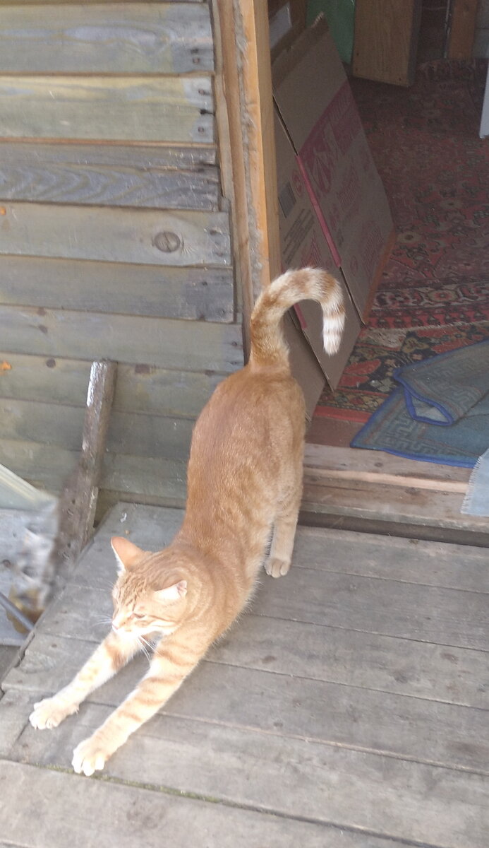 Личное фото. 