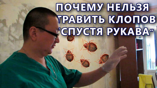 Как травить клопов в квартире. Руководство и советы от дезинфектора ...