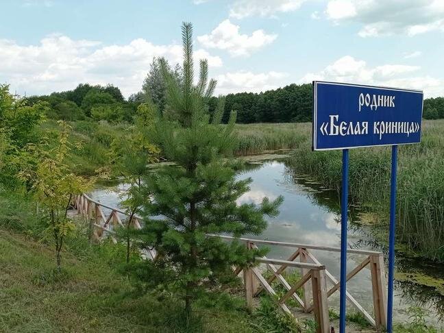 Село дали. Село новая жизнь. Село Родино. Фото жителей малой Грибановки. Новый Сокулак жизнь села.