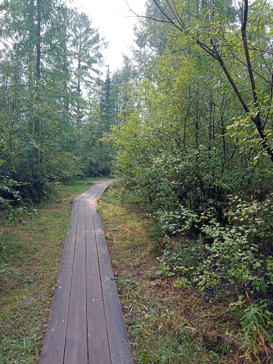 Здесь могло бы быть фото Малыша,если бы он не сбежал.