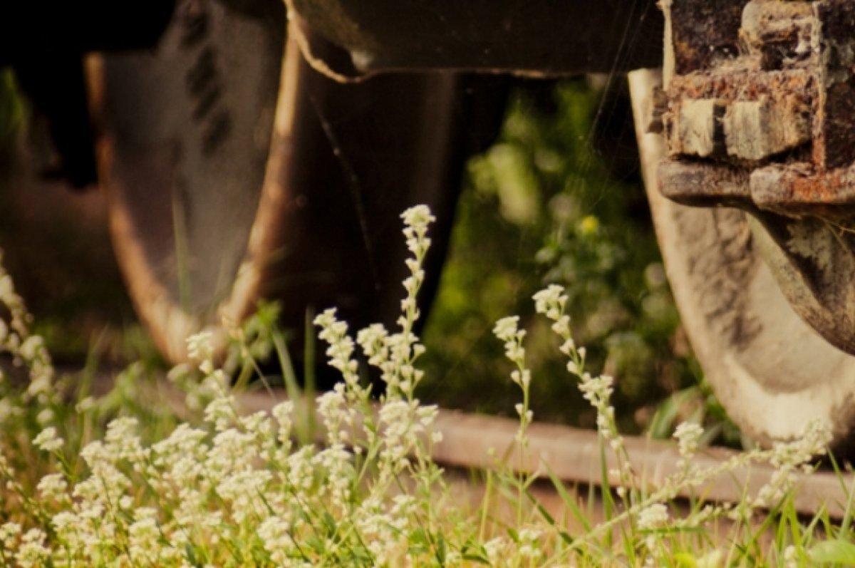    В Оренбургском районе поезд насмерть сбил мужчину.