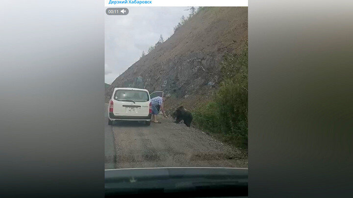 Кормление медведя. ФОТО: кадр видео телеграм-канала "Дерзкий Хабаровск". 