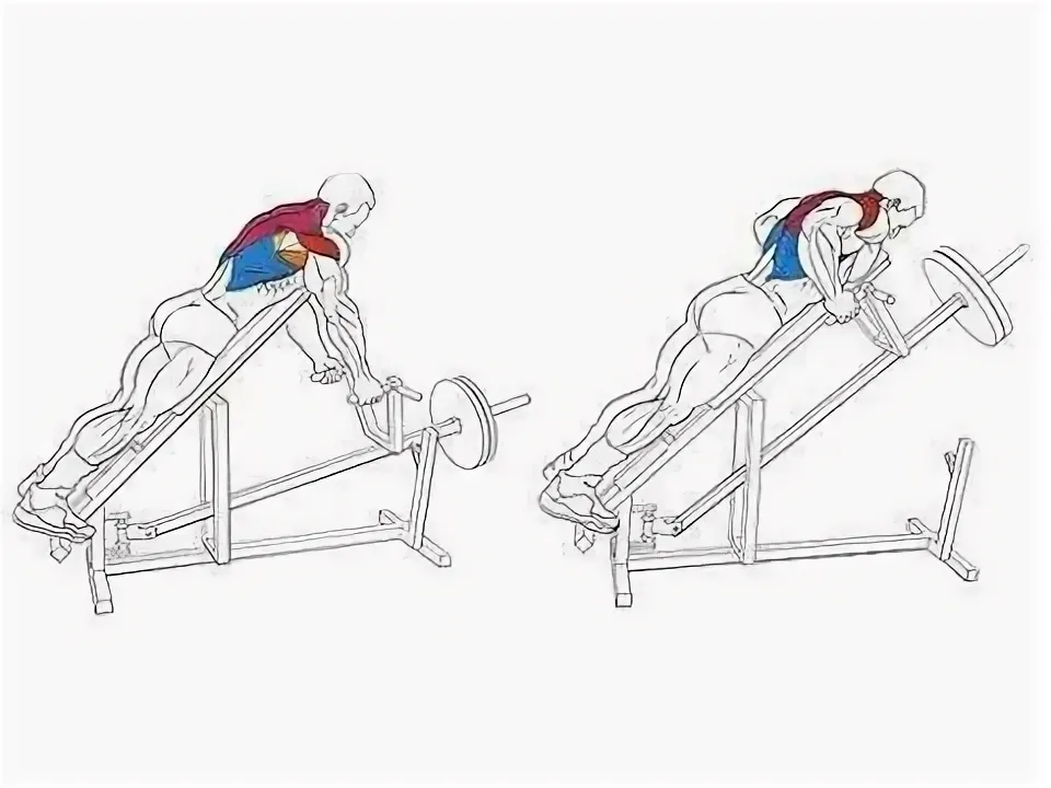 тяга т образного грифа в наклоне. тяга т-грифа узким параллельным хватом. Foreman тяга верхнего блока. тяга т-грифа к поясу. тяга горизонтального блока к поясу мышцы.