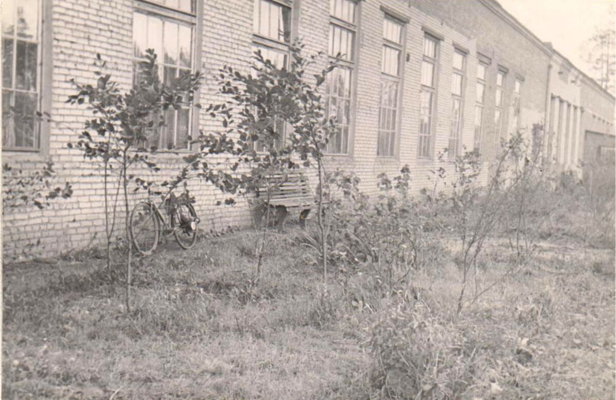 Дмитровский электромеханический завод («ДЭМЗ») в Деденево | Дмитровский  край | Дзен