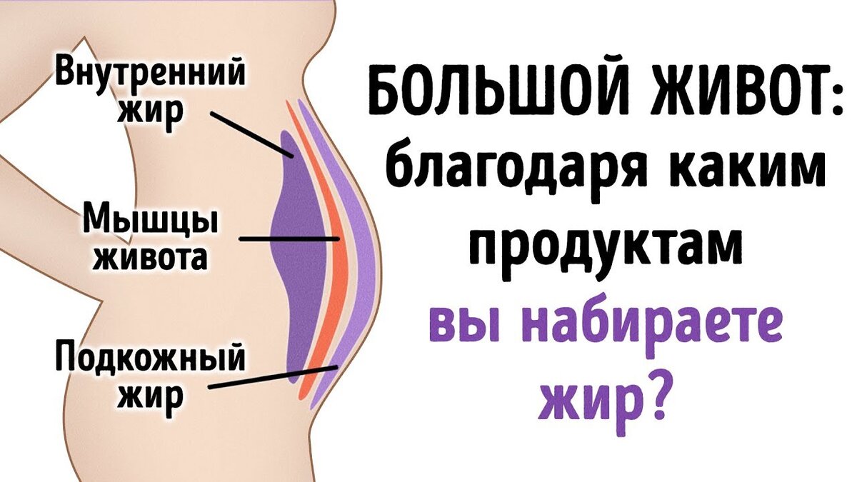 Почему растет живот. Внутренний и внешний жир. Растёт живот у женщин причины.