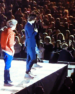 Когда британский певец выходит на сцену, случиться может всякое. Фанатки бросающие свои бюстгальтеры на сцену что бы привлечь к себе внимание артиста, стали уже привычным делом для певца. Но однажды Гарри стал целью пары летающих объектов и однажды прямо на концерте поклонница решила бросить ботинок прямо в певца. Он решил подобрать ботинок, но его тут же настиг второй, который угодил ему прямо в промежность! От боли певец не мог говорить несколько минут.